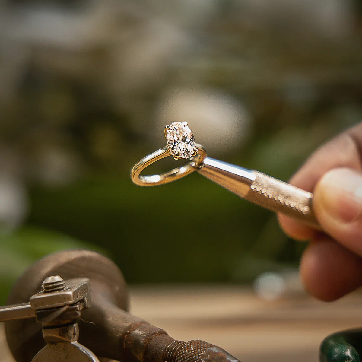 Adore Oval