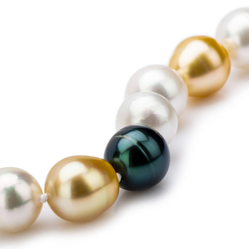 Multi Colour South Sea Pearls 10-12mm