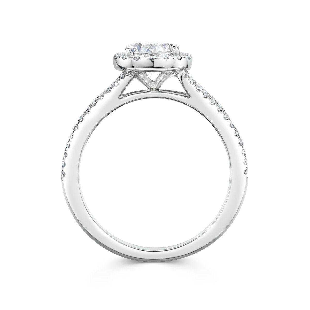 silver halo from the side