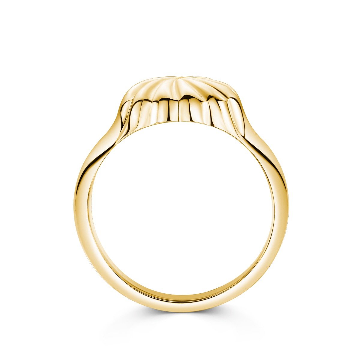 ladies gold signet ring